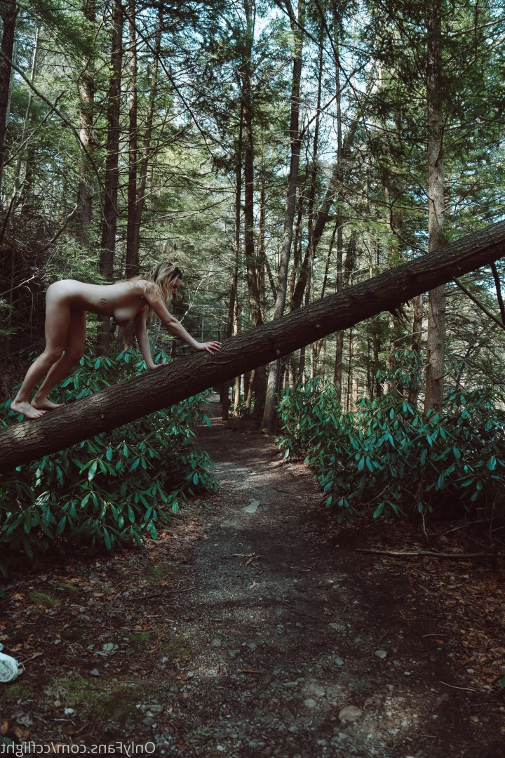 CC Flight [ ccflight ] Onlyfans leaked photo 10097322 on Hotleaks.tv
