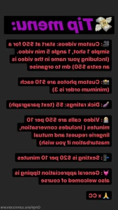 15529306