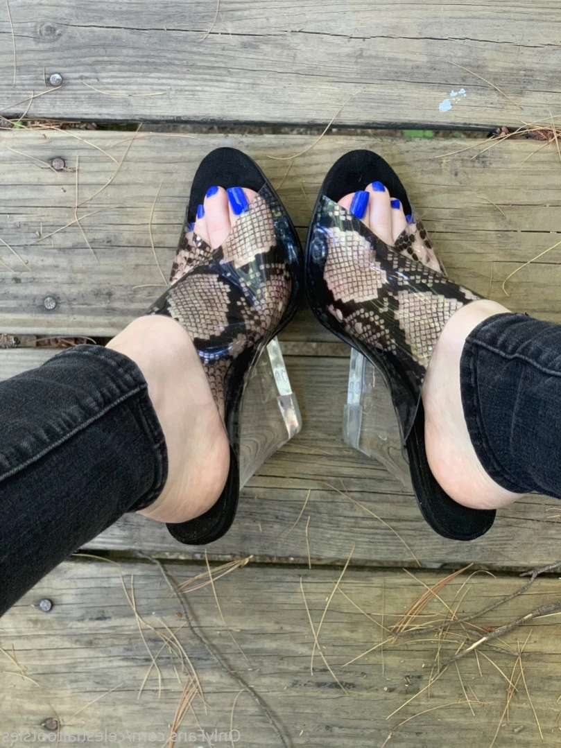 Celestial Tootsies [ celestialtootsies ] Onlyfans leaked photo 13001906 on Hotleaks.tv