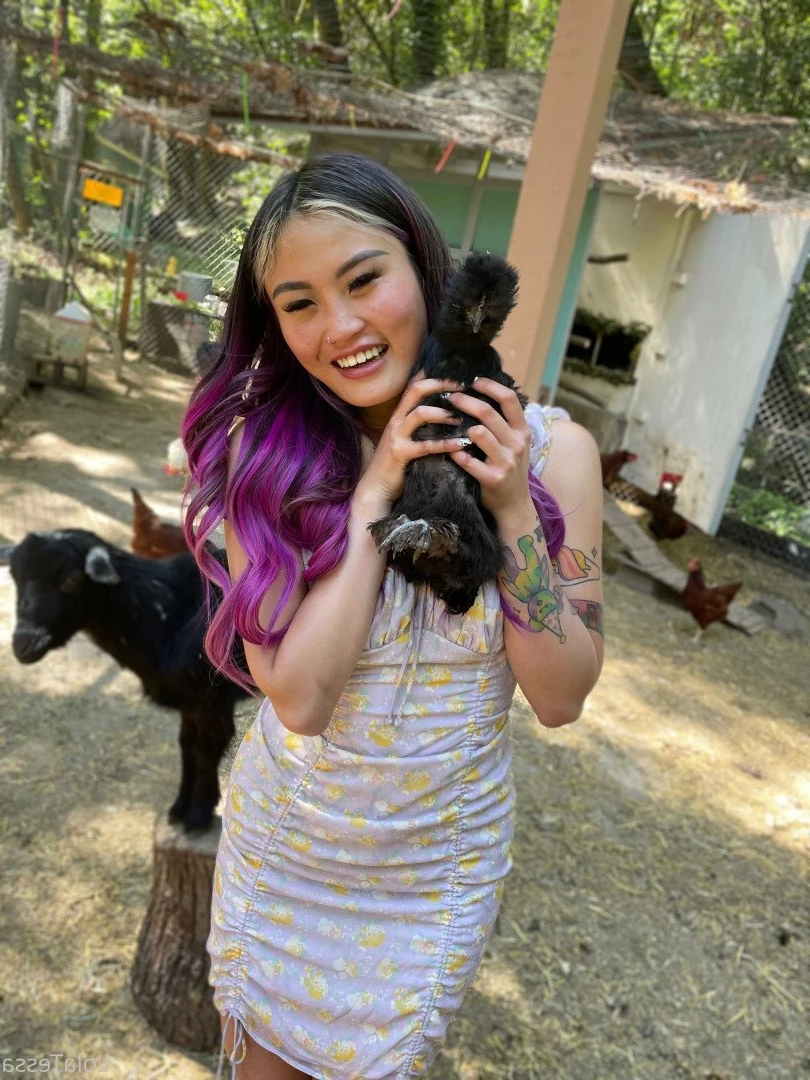 BIG TITTY ASIAN [ lolatessa ] Onlyfans leaked photo 3858332 on Hotleaks.tv