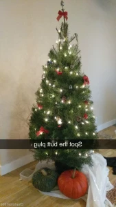 8815955