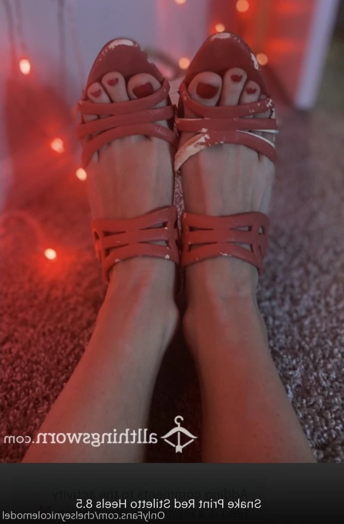 Chelsey Nicole [ chelseynicolemodel ] Onlyfans leaked photo 8967049 on Hotleaks.tv