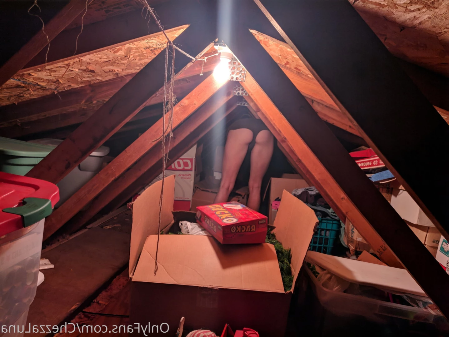 The lunar flower of perversion [ chezzaluna ] Onlyfans leaked photo 14013024 on Hotleaks.tv