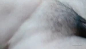 15914034