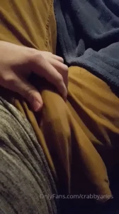 10450043