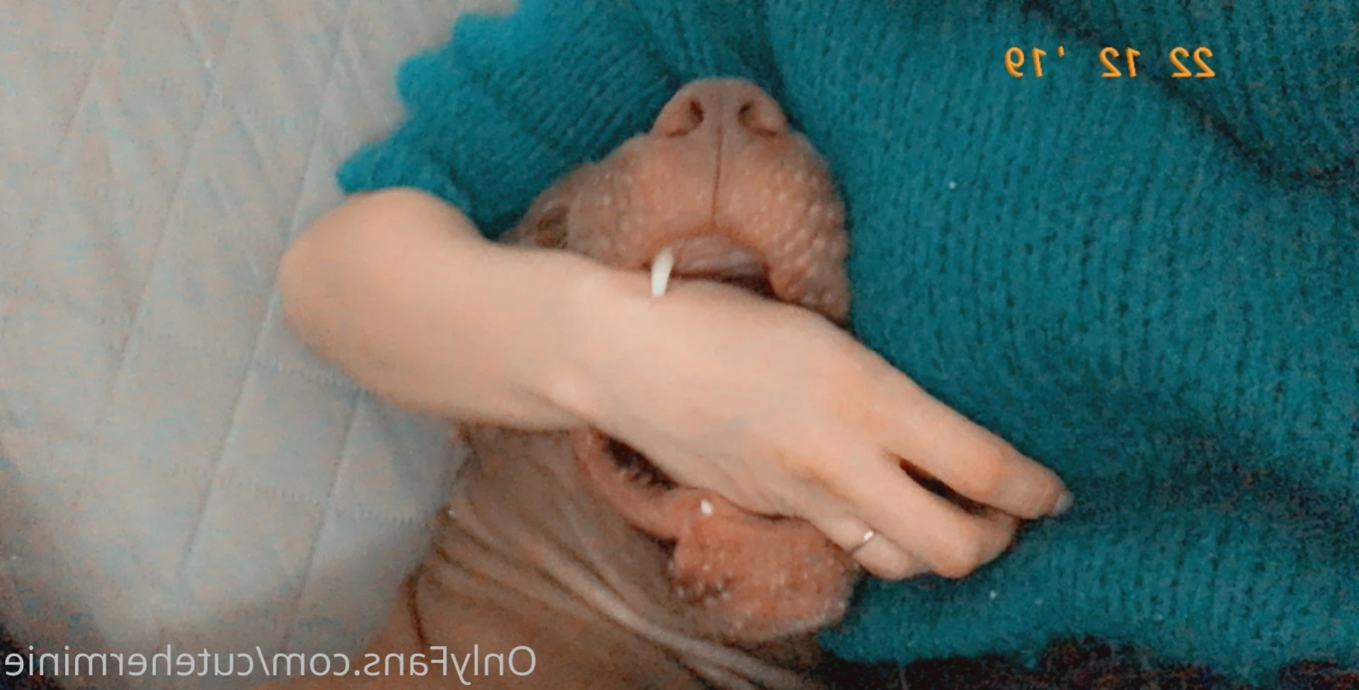 cuteherminie Onlyfans leaked photo 11628095 on Hotleaks.tv