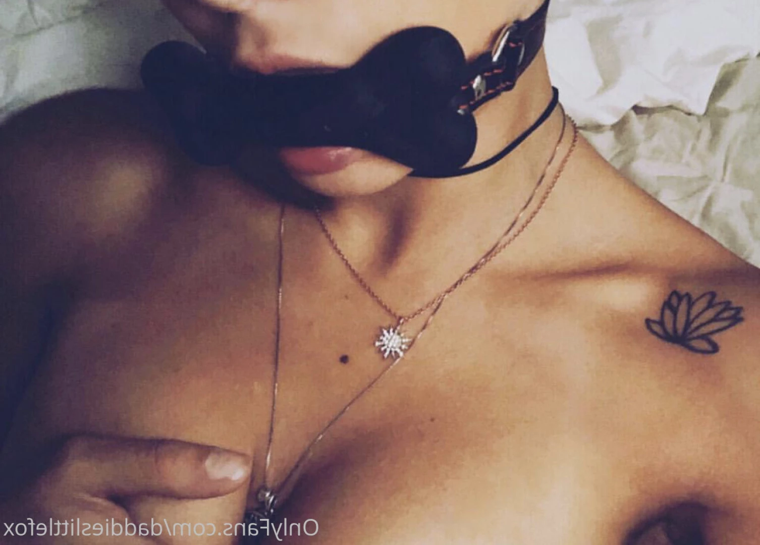 Fox 🦊 ✨👑 Top 2% [ daddieslittlefox ] Onlyfans leaked photo 8735893 on Hotleaks.tv