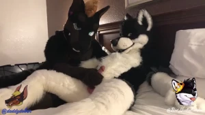 Daddy Dober ฅ^•ﻌ•^ฅ [ daddydober ] Onlyfans leaked video 10447023 on Hotleaks.tv