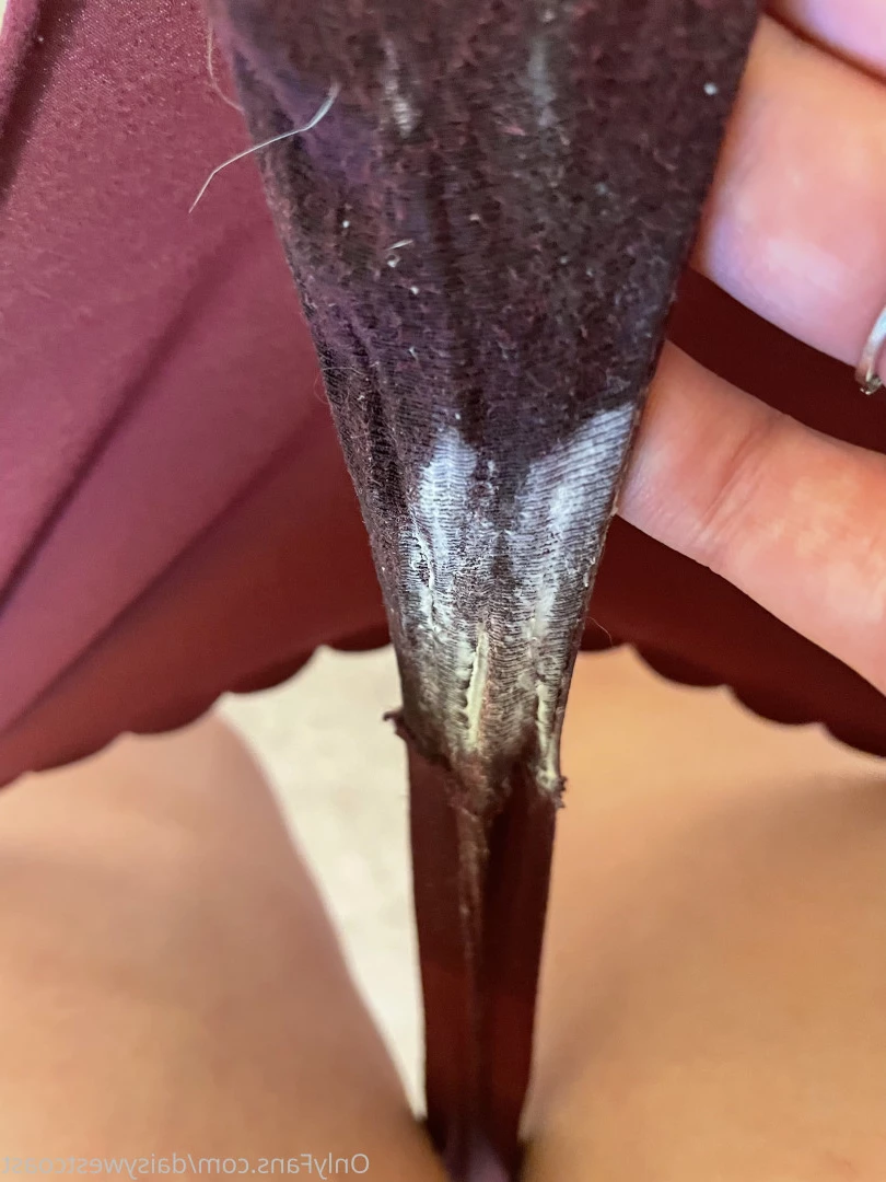 daisy 🌼 NO new content after January 1st [ daisywestcoast ] Onlyfans leaked photo 9108805 on Hotleaks.tv