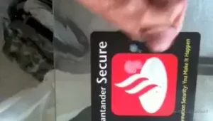 dallasbull1 Onlyfans leaked video 14012950 on Hotleaks.tv
