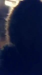 10442128