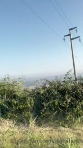 10439577