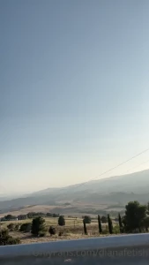 10439583