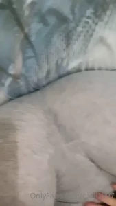 Didi [ didii1997 ] Onlyfans leaked video 10438986 on Hotleaks.tv