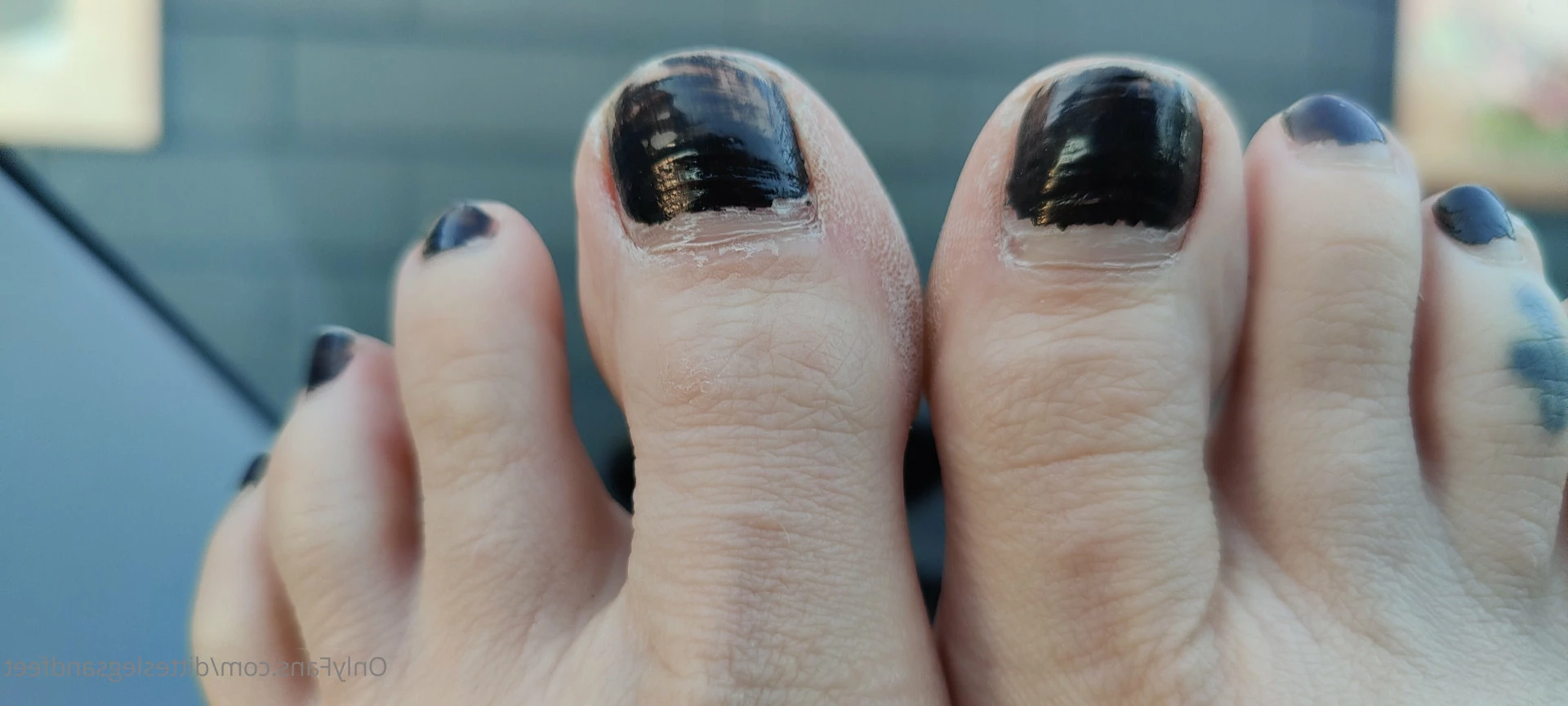 ditteslegsandfeet Onlyfans leaked photo 8729958 on Hotleaks.tv