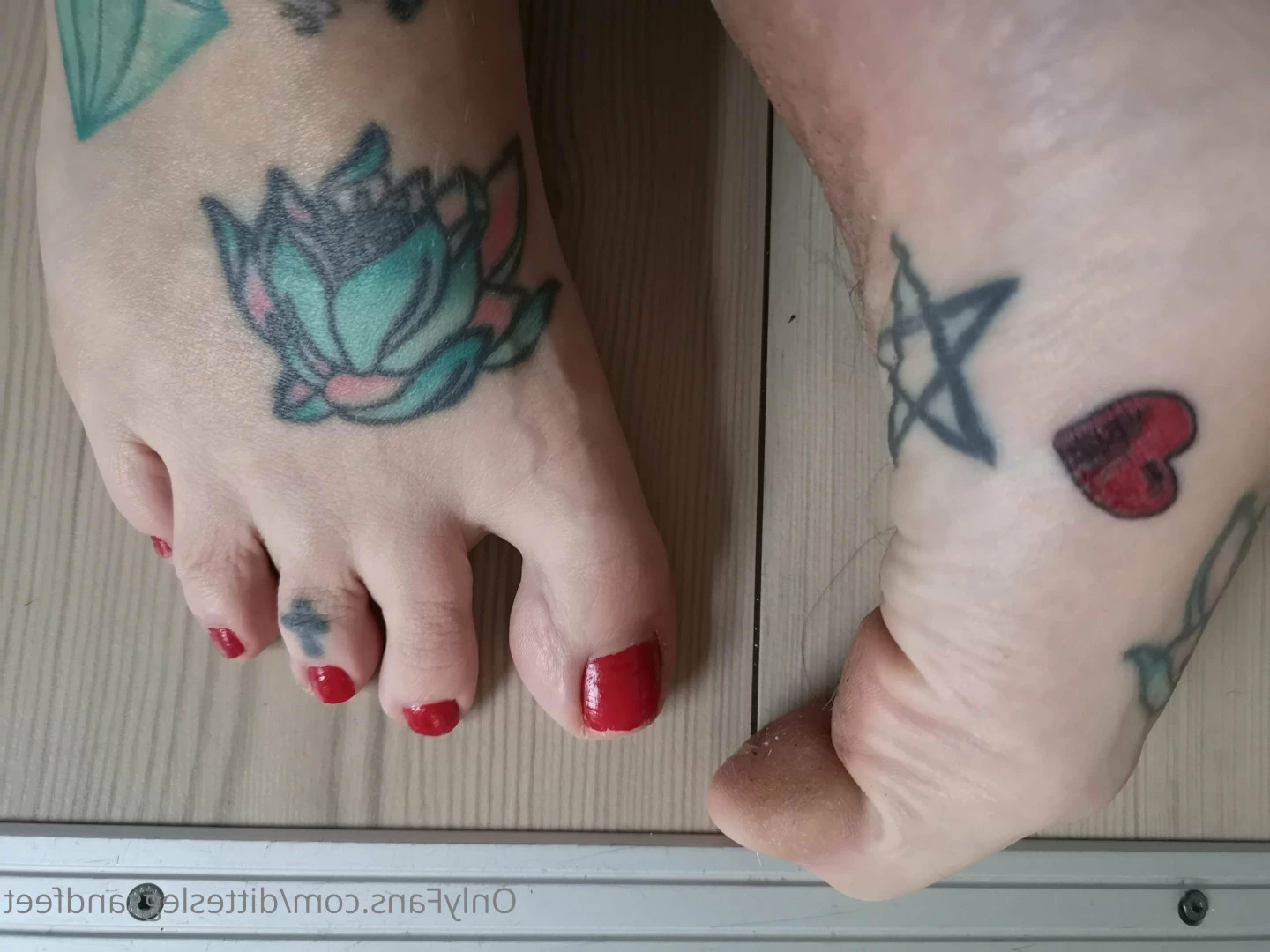 ditteslegsandfeet Onlyfans leaked photo 8732043 on Hotleaks.tv