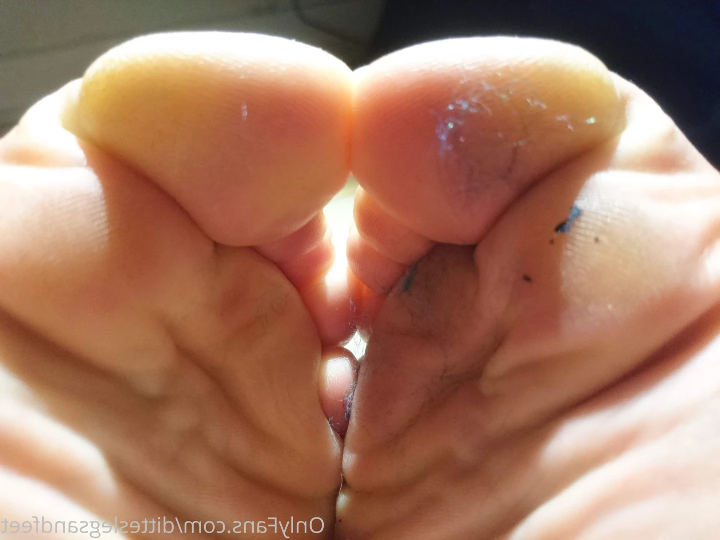 ditteslegsandfeet Onlyfans leaked photo 8733242 on Hotleaks.tv