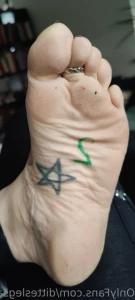 8733937