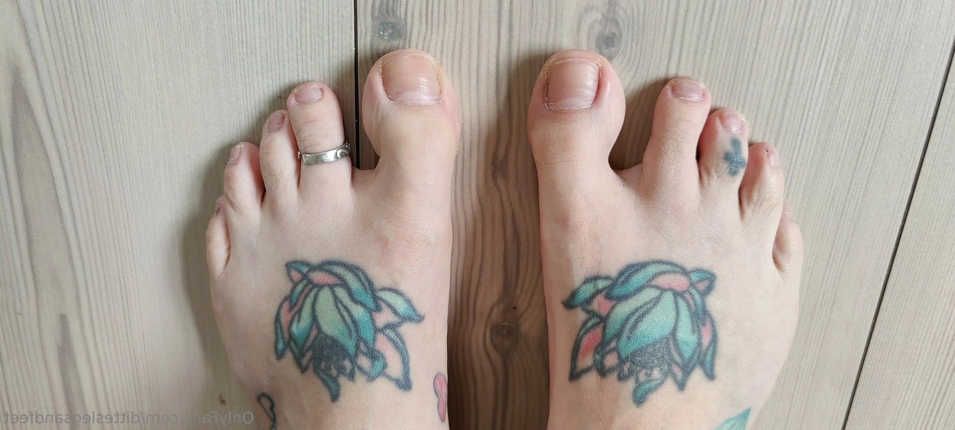 ditteslegsandfeet Onlyfans leaked photo 8734327 on Hotleaks.tv