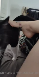 10438375