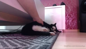 Legendary tease [ dominofaye ] Onlyfans leaked video 14098386 on Hotleaks.tv