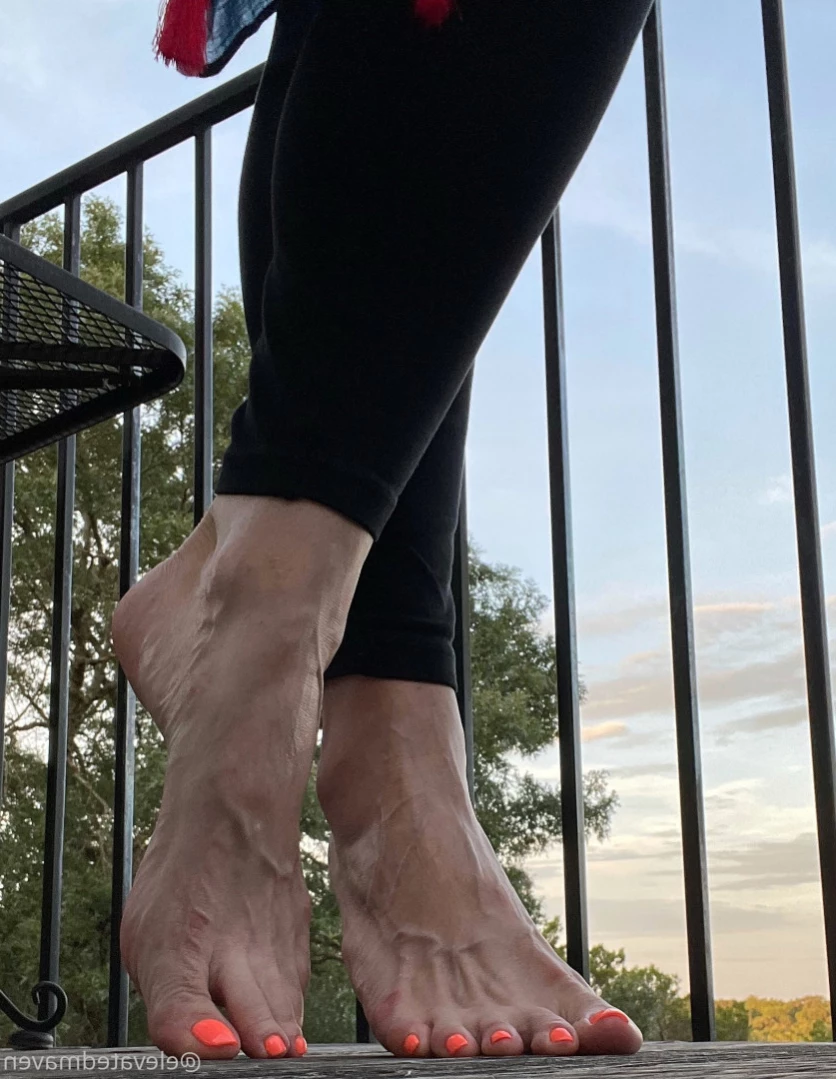 Maven Keys [ elevatedmaven ] Onlyfans leaked photo 12779756 on Hotleaks.tv