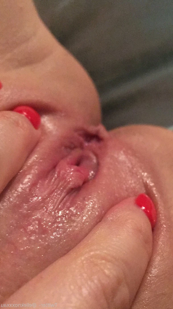 Elle Knox 🔥 [ elleknox ] Onlyfans leaked photo 8587010 on Hotleaks.tv