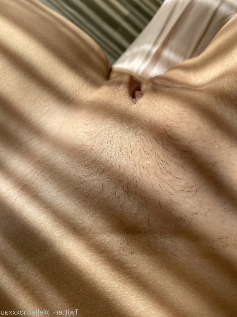 Elle Knox 🔥 [ elleknox ] Onlyfans leaked photo 8592028 on Hotleaks.tv