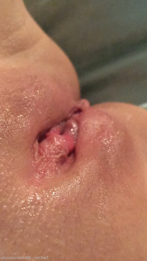Elle Knox 🔥 [ elleknox ] Onlyfans leaked photo 8592146 on Hotleaks.tv