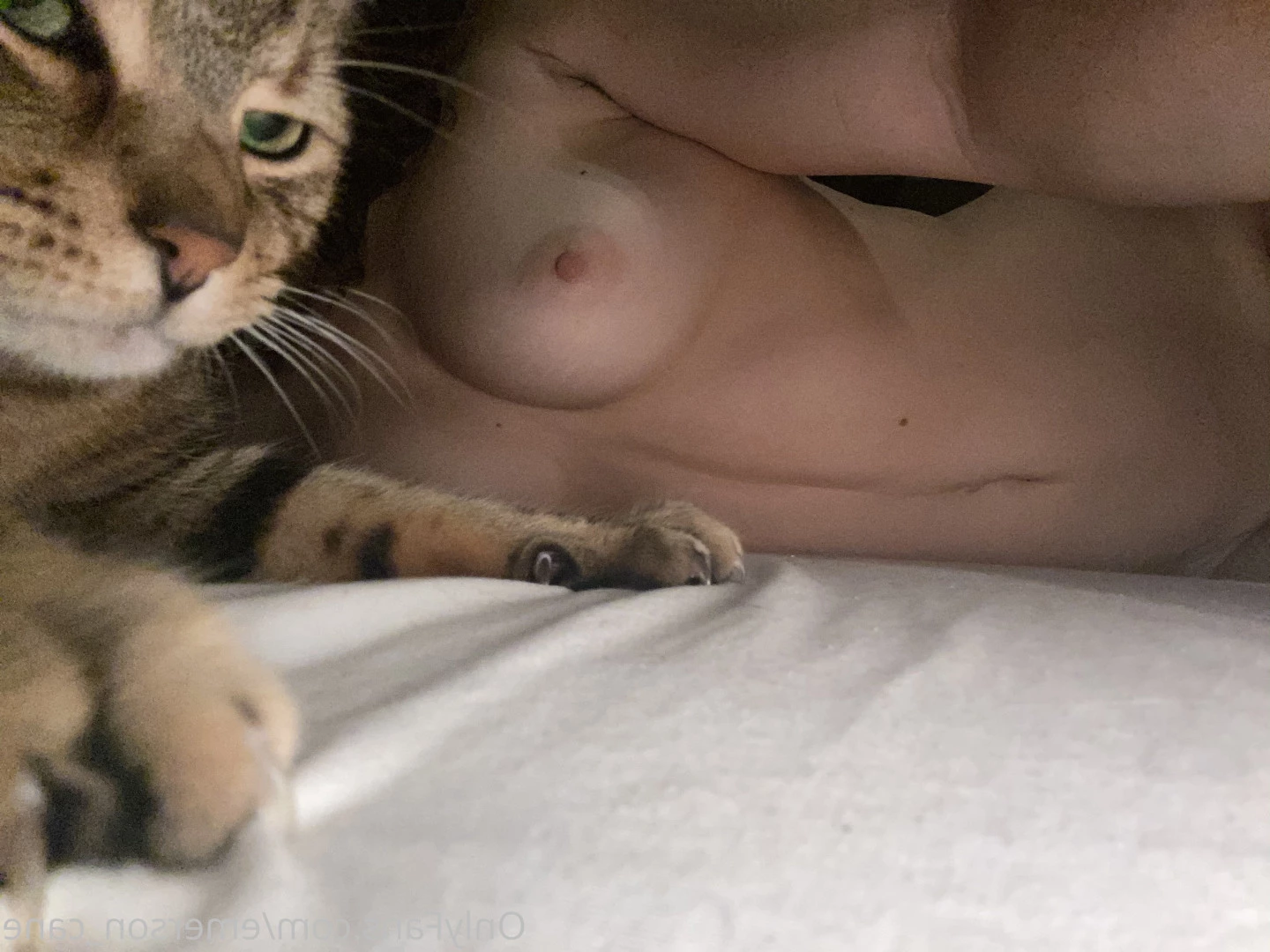 🌬  E M E R S O N [ emerson_cane ] Onlyfans leaked photo 8905721 on Hotleaks.tv
