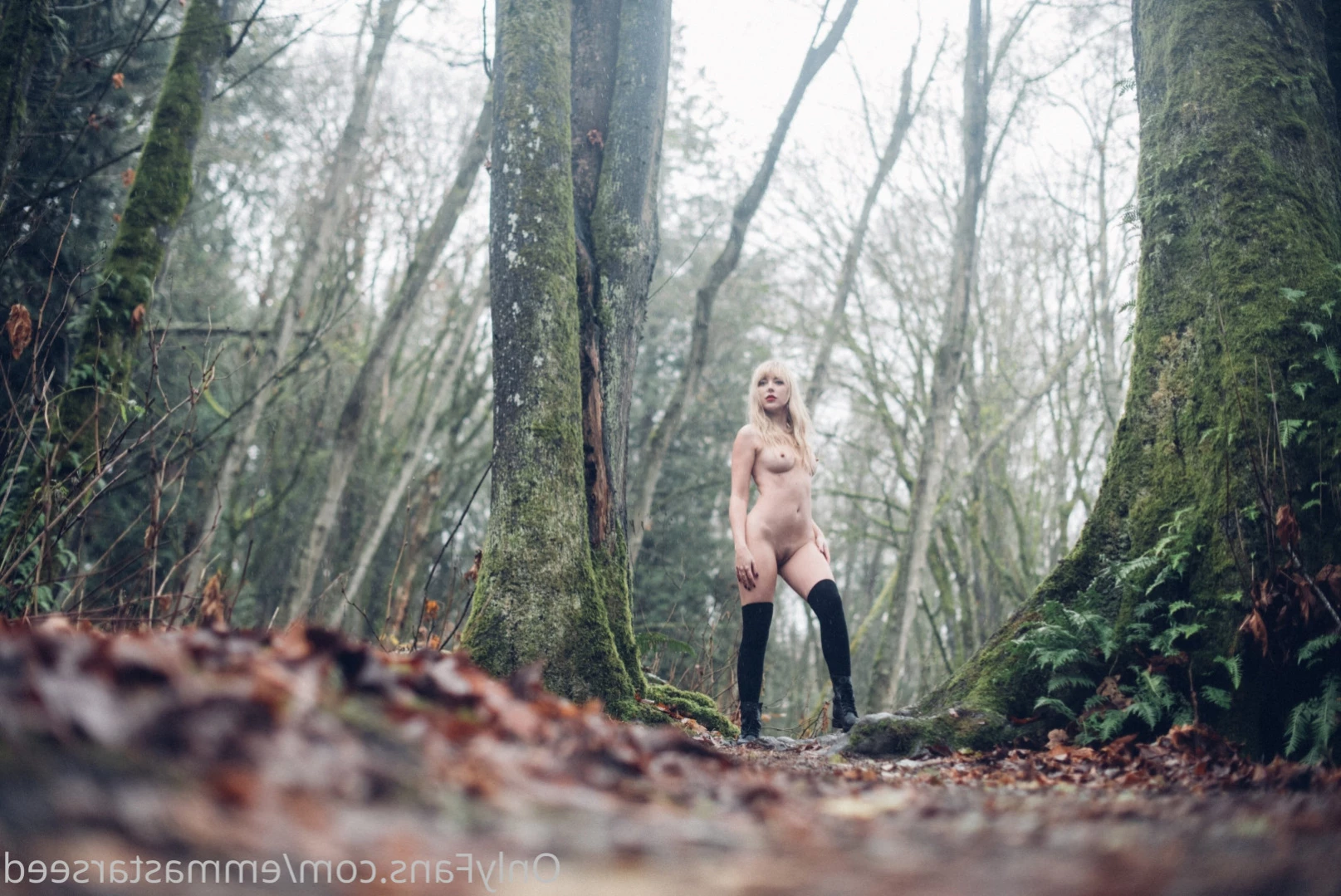 emma ☽ the sex witch ･ﾟ✧ ˚˖⁺ [ emmastarseed ] Onlyfans leaked photo 11500765 on Hotleaks.tv