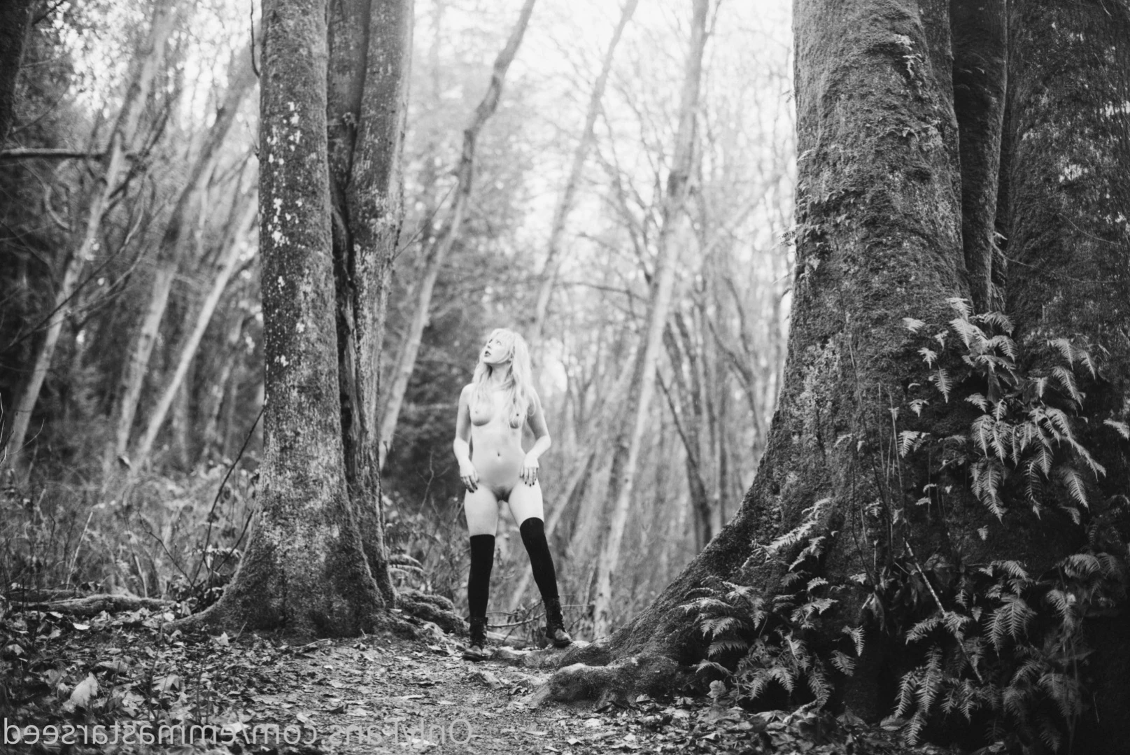 emma ☽ the sex witch ･ﾟ✧ ˚˖⁺ [ emmastarseed ] Onlyfans leaked photo 12715973 on Hotleaks.tv