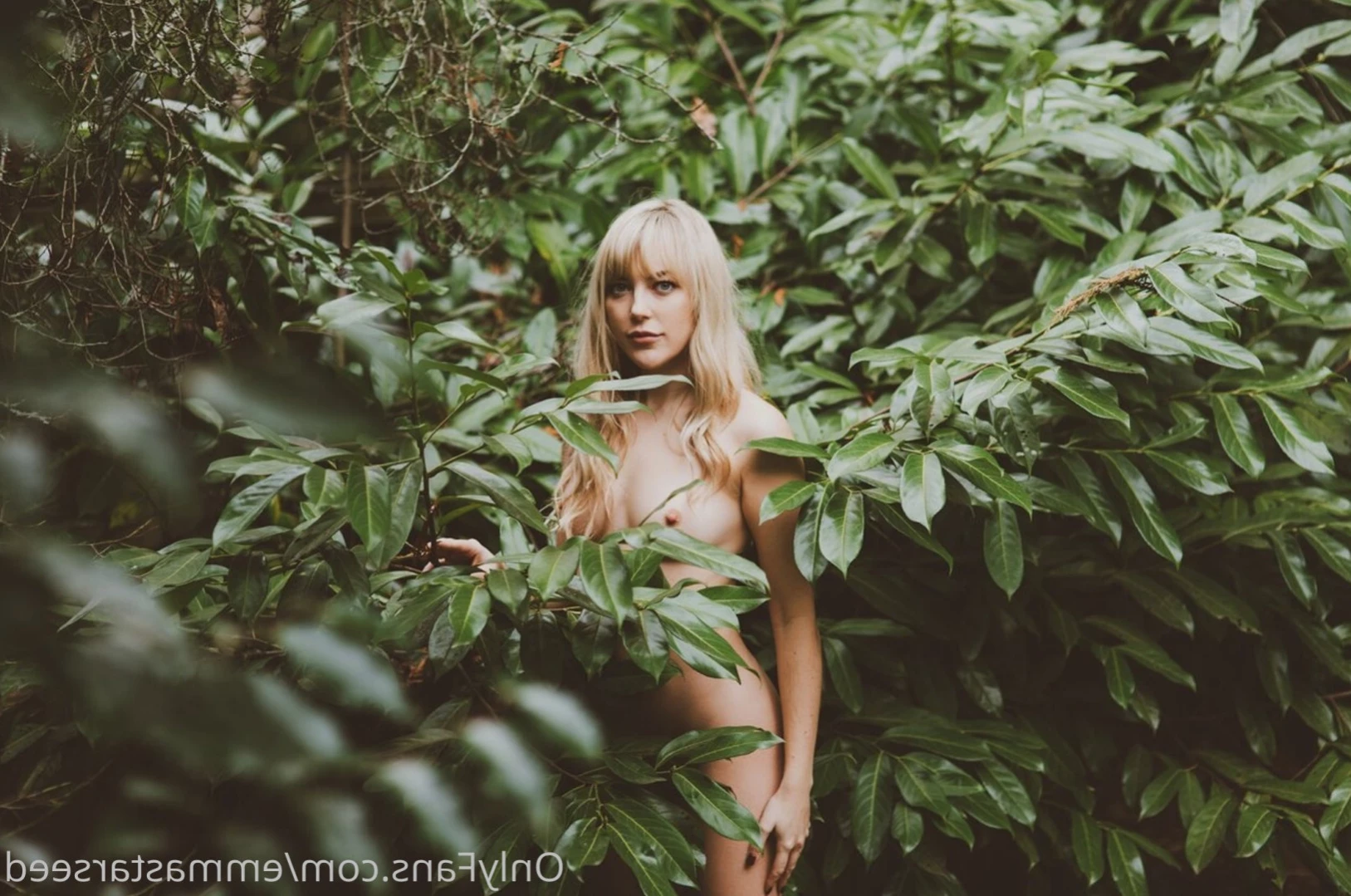 emma ☽ the sex witch ･ﾟ✧ ˚˖⁺ [ emmastarseed ] Onlyfans leaked photo 12718140 on Hotleaks.tv