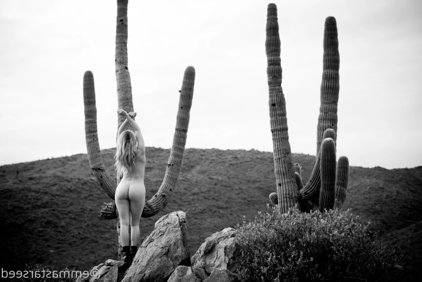 emma ☽ the sex witch ･ﾟ✧ ˚˖⁺ [ emmastarseed ] Onlyfans leaked photo 12726604 on Hotleaks.tv