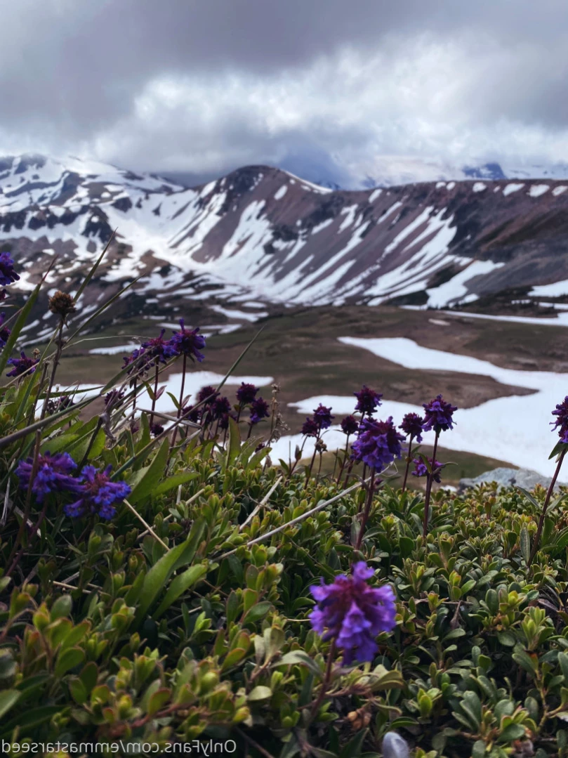 emma ☽ the sex witch ･ﾟ✧ ˚˖⁺ [ emmastarseed ] Onlyfans leaked photo 12831945 on Hotleaks.tv