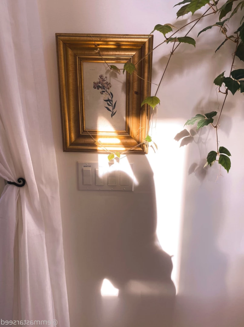 emma ☽ the sex witch ･ﾟ✧ ˚˖⁺ [ emmastarseed ] Onlyfans leaked photo 14782075 on Hotleaks.tv