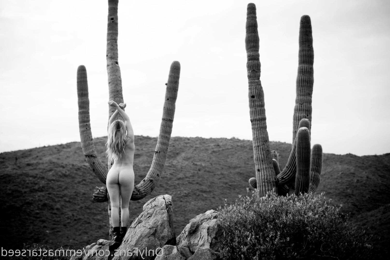 emma ☽ the sex witch ･ﾟ✧ ˚˖⁺ [ emmastarseed ] Onlyfans leaked photo 15366275 on Hotleaks.tv