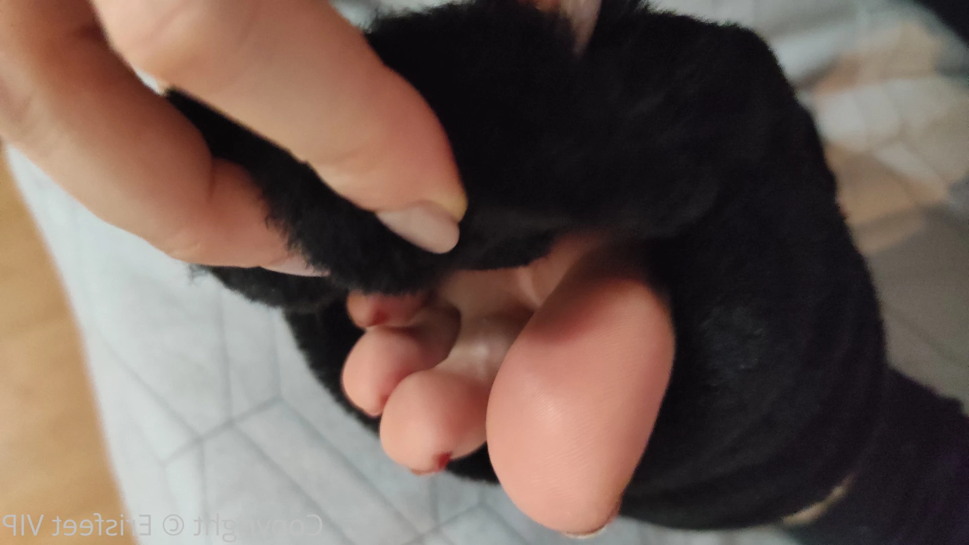 ♡ 𝔼𝕣𝕚𝕤𝕗𝕖𝕖𝕥 𝗩𝗜𝗣 🔝5% ♡ [ erisfeet_ ] Onlyfans leaked photo 9044065 on Hotleaks.tv