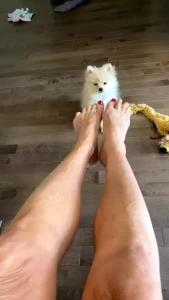 FitCougar Bianca [ fitcougar50 ] Onlyfans leaked video 10416544 on Hotleaks.tv