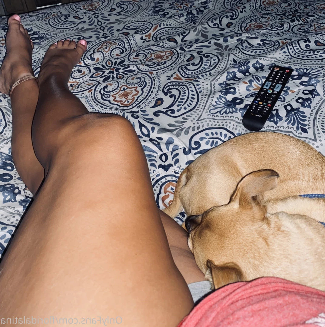 Ashlynn Monroe [ floridalatina ] Onlyfans leaked photo 9684420 on Hotleaks.tv