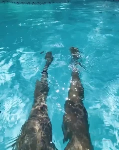 Ashlynn Monroe [ floridalatina ] Onlyfans leaked video 10415933 on Hotleaks.tv