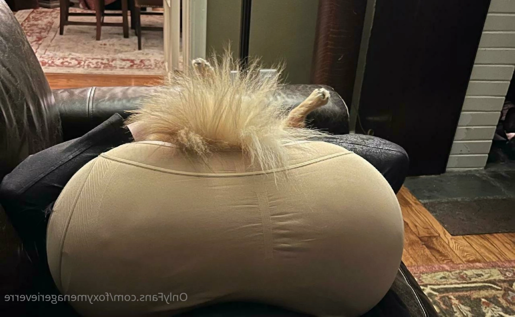 Foxy Menagerie Verre [ foxymenagerieverre ] Onlyfans leaked photo 12863869 on Hotleaks.tv
