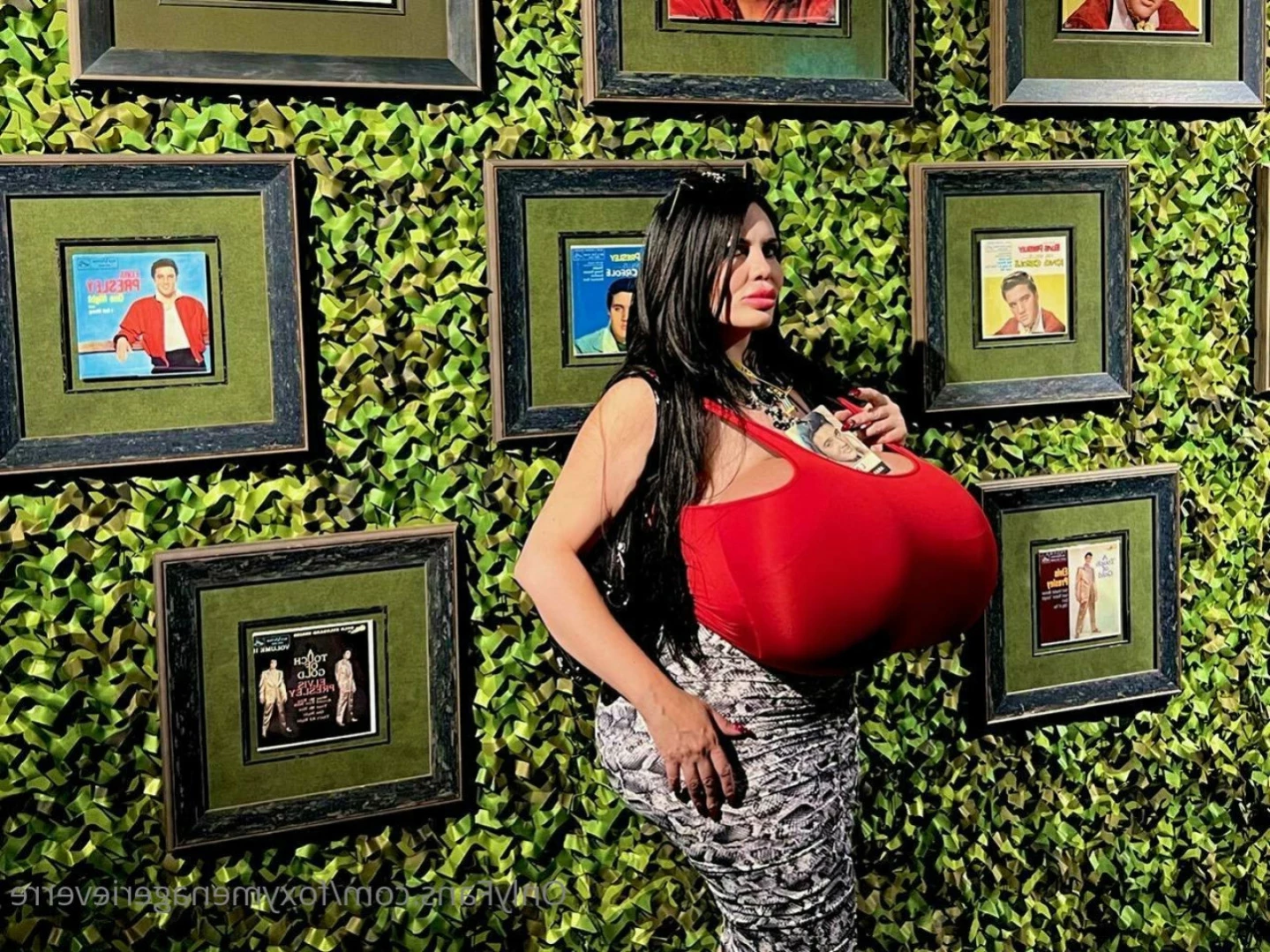 Foxy Menagerie Verre [ foxymenagerieverre ] Onlyfans leaked photo 13225696 on Hotleaks.tv
