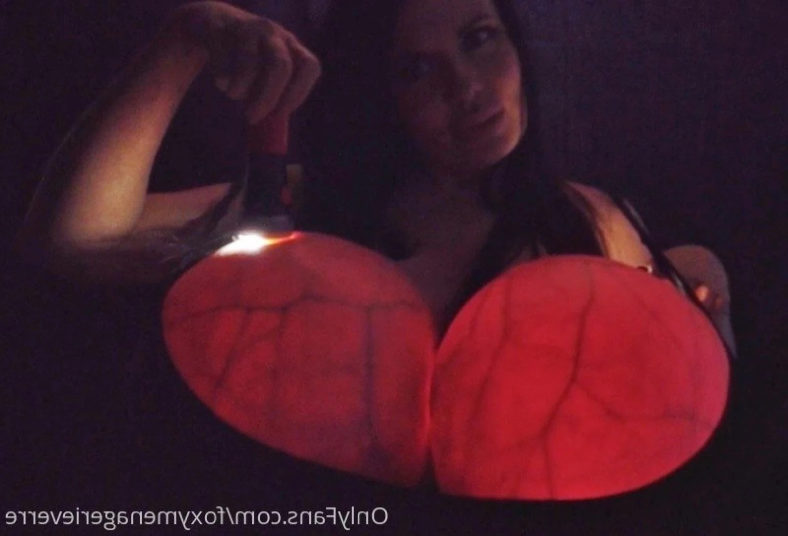 Foxy Menagerie Verre [ foxymenagerieverre ] Onlyfans leaked photo 13228274 on Hotleaks.tv