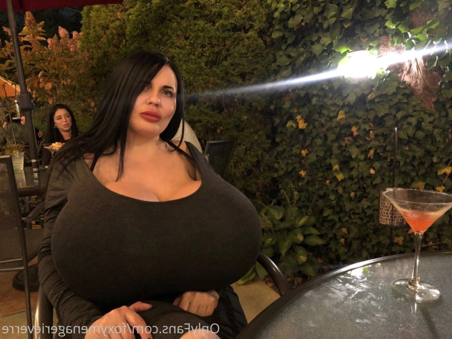 Foxy Menagerie Verre [ foxymenagerieverre ] Onlyfans leaked photo 13244244 on Hotleaks.tv