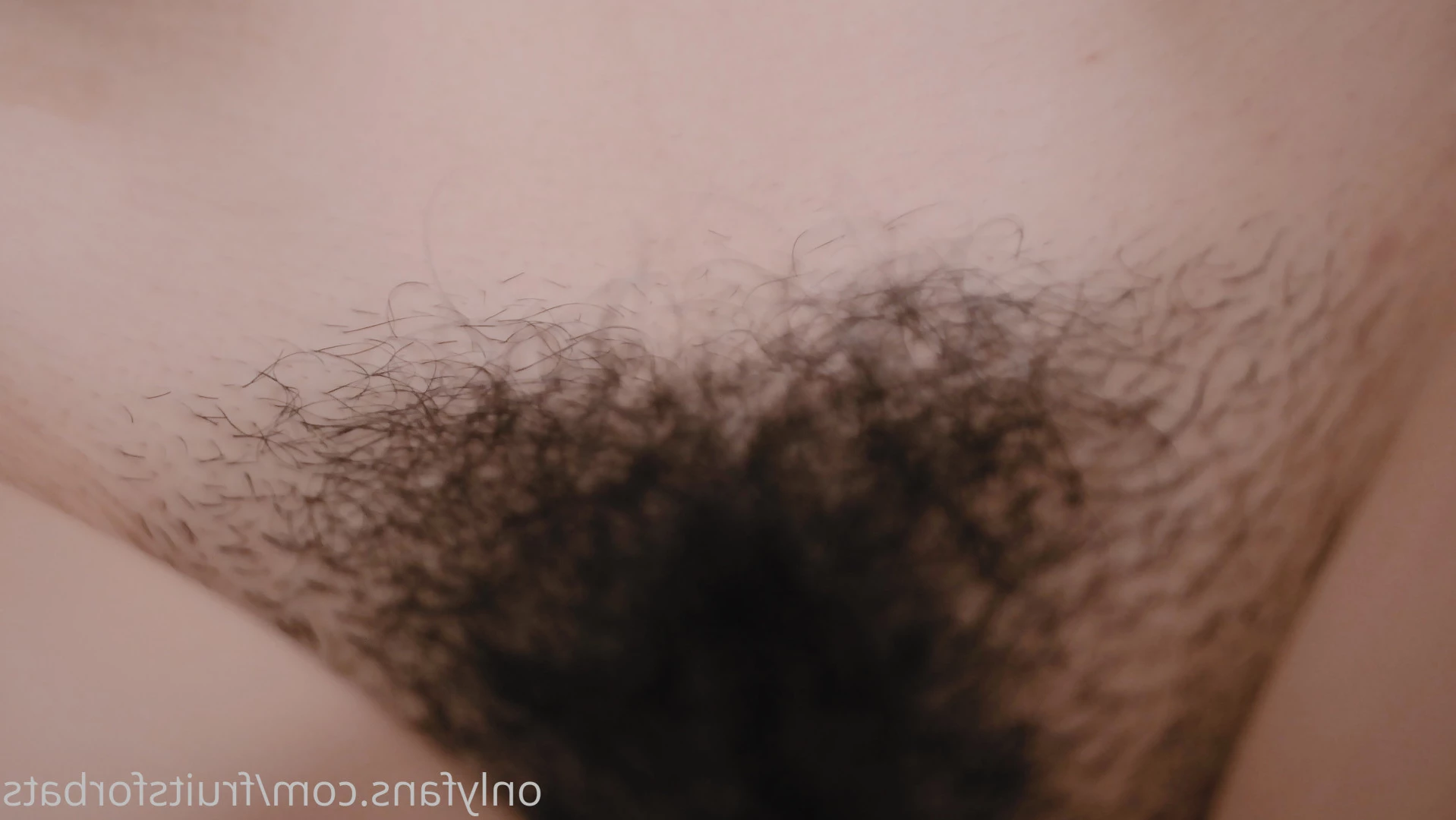 Fruity Anitta [ fruitsforbats ] Onlyfans leaked photo 8604364 on Hotleaks.tv