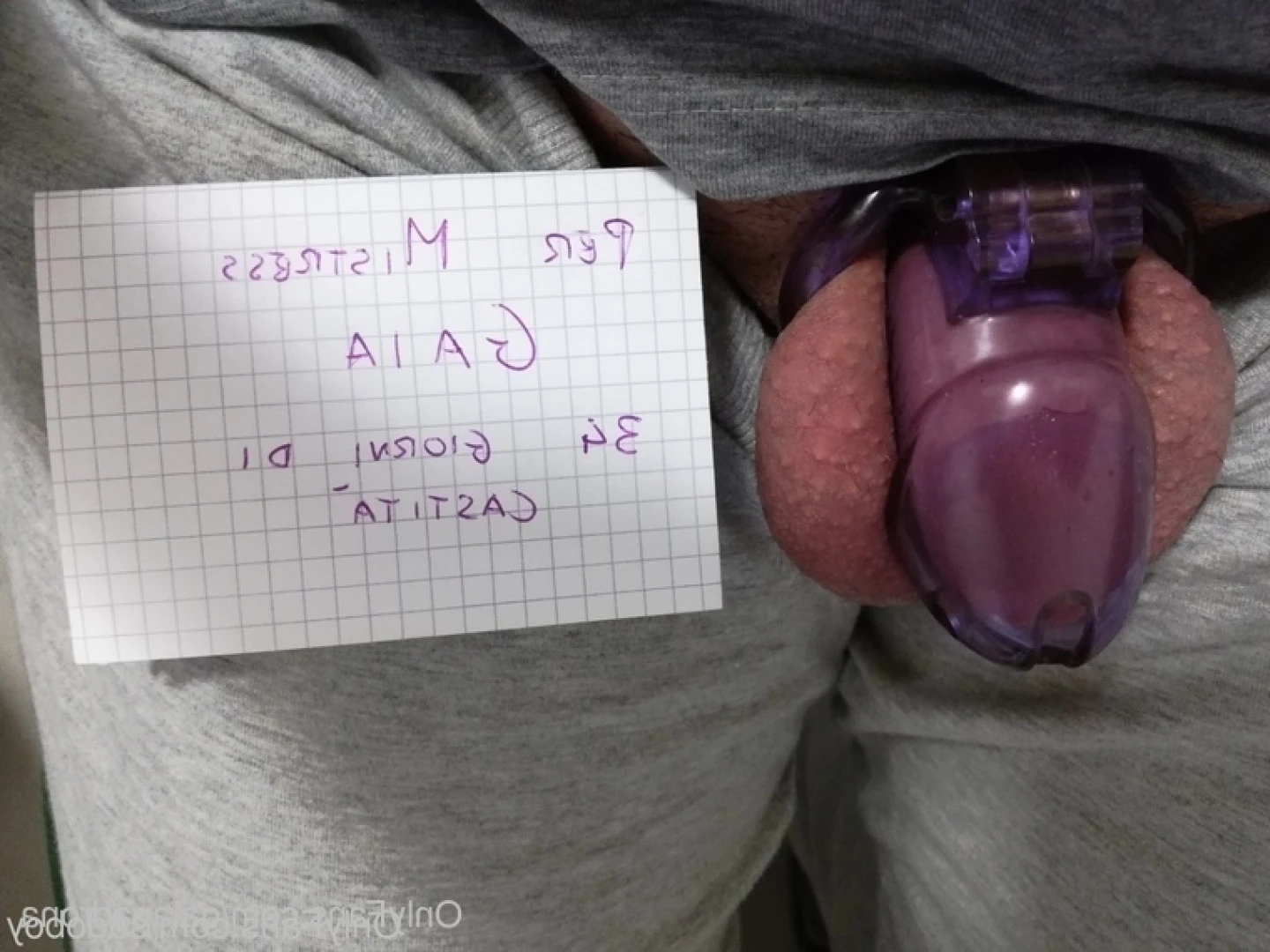 Mistress Gaia [ gaiapadrona ] Onlyfans leaked photo 10061301 on Hotleaks.tv