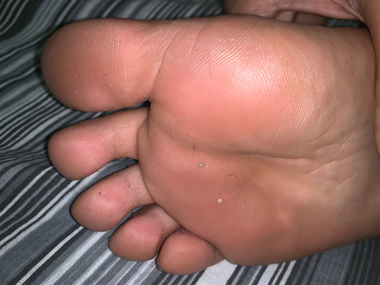Mistress Gaia [ gaiapadrona ] Onlyfans leaked photo 10065502 on Hotleaks.tv