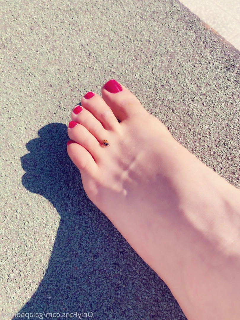 Mistress Gaia [ gaiapadrona ] Onlyfans leaked photo 10071749 on Hotleaks.tv