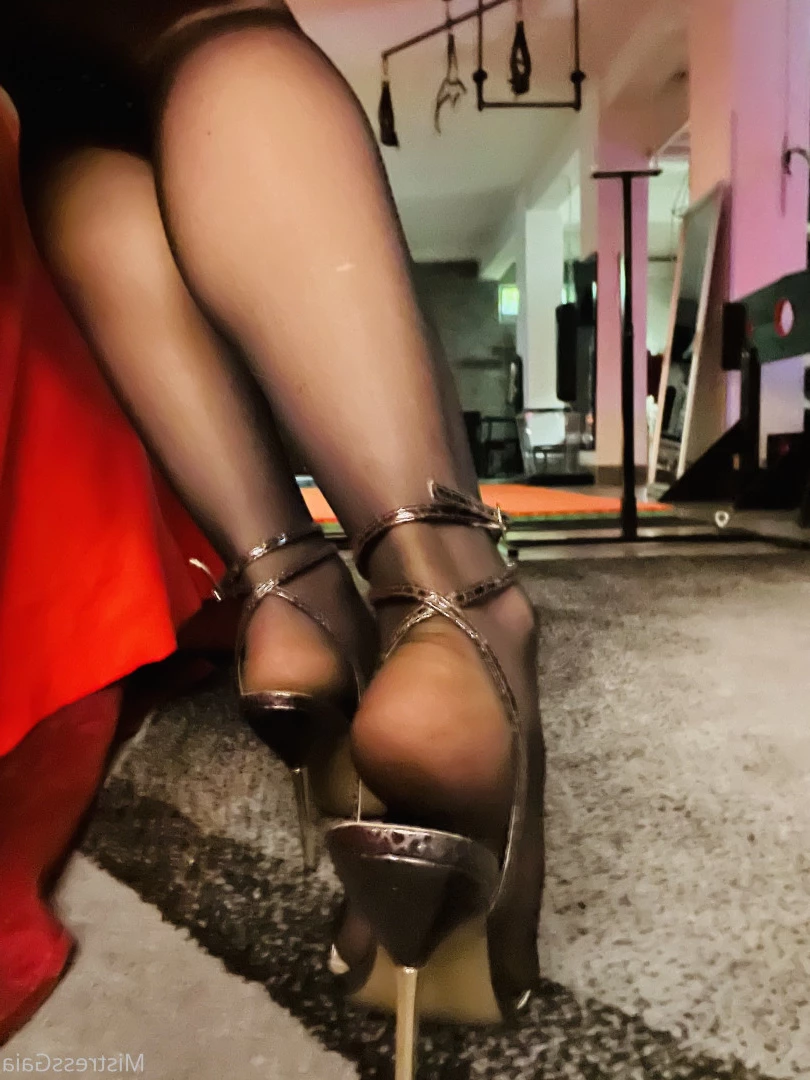Mistress Gaia [ gaiapadrona ] Onlyfans leaked photo 10076402 on Hotleaks.tv